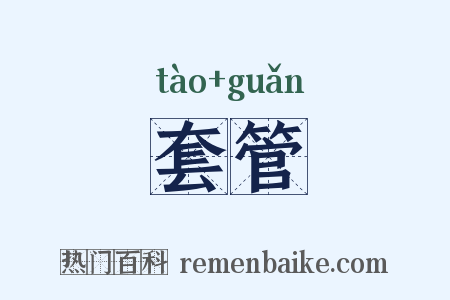 套管是什么意思的图片